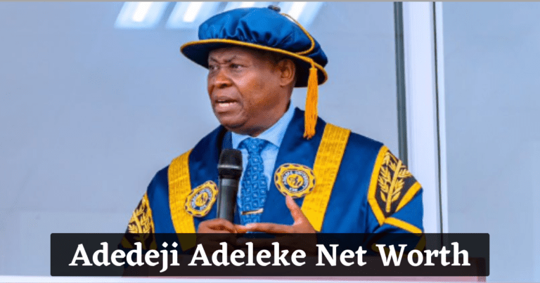 Adedeji Adeleke Net Worth