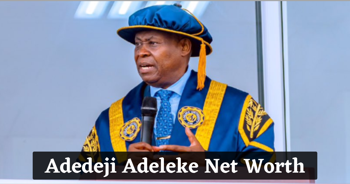 Adedeji Adeleke Net Worth